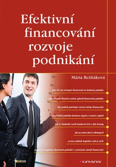 obálka: Efektivní financování rozvoje podnikání