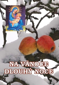 obálka: Na Vánoce dlouhý noce