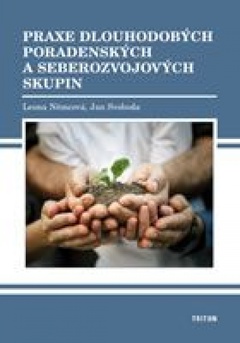 obálka: Praxe dlouhodobých poradenských a seberozvojových