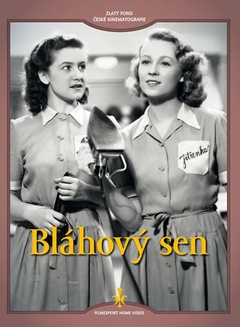 obálka: Bláhový sen - DVD (digipack)