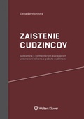 obálka: Zaistenie cudzincov