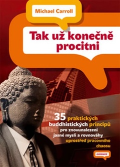 obálka: TAK UŽ KONEČNE PROCITNI 35 PRAKTICKÝCH BUDDHISTICKÝCH PRINC.