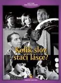 obálka: Kolik slov stačí lásce? - DVD (digipack)