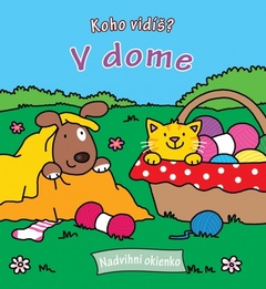 obálka: Koho vidíš ? V dome