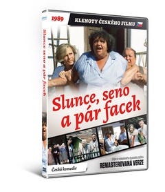 obálka: Slunce, seno a pár facek - DVD