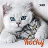 obálka: Kočky 2018 - nástěnný kalendář