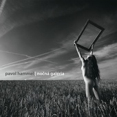 obálka: Pavol Hammel: Nočná galéria