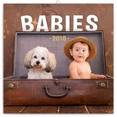 obálka: Babies - nástěnný kalendář 2018