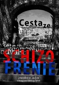 obálka: Cesta ze schizofrenie