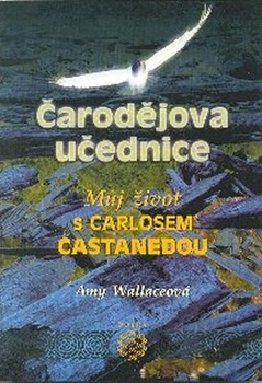 obálka: Čarodějova učednice