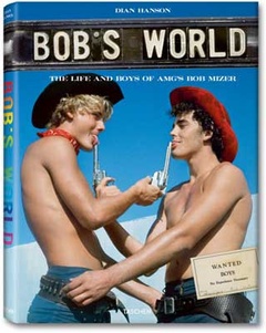 obálka: Bobs world. Mizer fo