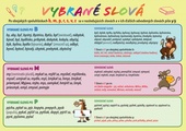 obálka: Slovenský jazyk - Vybrané slová