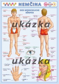obálka: Obrázková nemčina 3 - ľudské telo