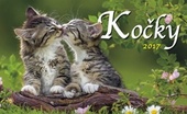obálka: Kočky 2017 - stolní kalendář