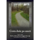 obálka: CESTA DUŠE PO SMRTI