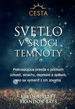 obálka: Svetlo v srdci temnoty