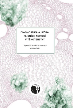 obálka: Diagnostika a léčba plicních nemocí v těhotenství