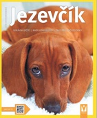 obálka: Jezevčík 