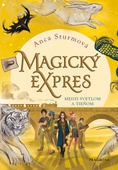 obálka: Magický expres 2 - Medzi svetlom a tieňom