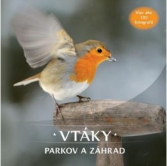 obálka: Vtáky parkov a záhrad