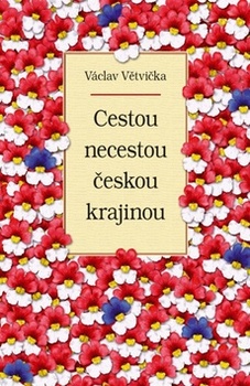 obálka: Cestou necestou českou krajinou