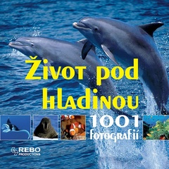 obálka: Život pod hladinou