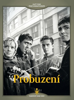 obálka: Probuzení - DVD (digipack)