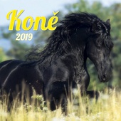 obálka: Koně 2019 - nástěnný kalendář