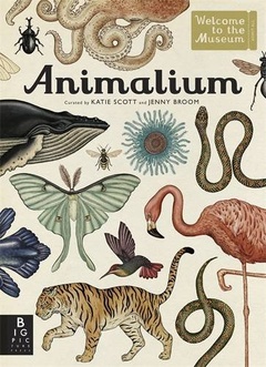 obálka: Animalium