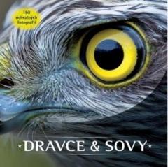 obálka: Dravce a sovy