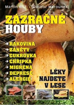 obálka: Zázračné houby