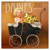 obálka: Babies - nástěnný kalendář 2017