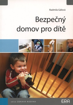 obálka:  Bezpečný domov pro dítě 