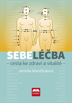 obálka: Sebeléčba - Cesta ke zdraví a vitalitě