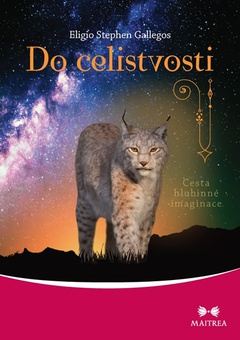 obálka: Do celistvosti