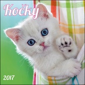 obálka: Kočky 2017 - nástěnný kalendář