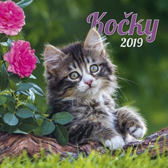 obálka: Kočky 2019 - nástěnný kalendář