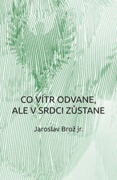 obálka: Co vítr odvane, ale v srdci zůstane