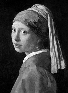 obálka: Vermeer