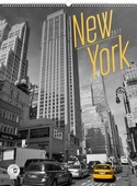 obálka: New York Jakub Kasl - nástěnný kalendář 2017