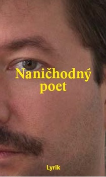 obálka: Naničhodný poet