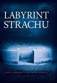 obálka: Labyrint strachu