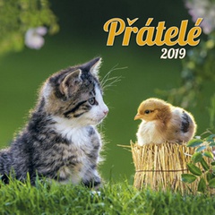 obálka: Přátelé 2019 - nástěnný kalendář