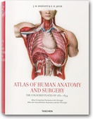 obálka: Jean-Marie Le Minor | Atlas Anatomy Bourgery 25 fp