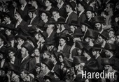 obálka: Haredim