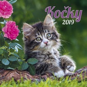 obálka: Kočky 2019 - nástěnný kalendář