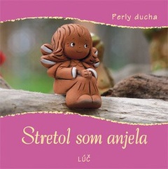 obálka: Stretol som anjela